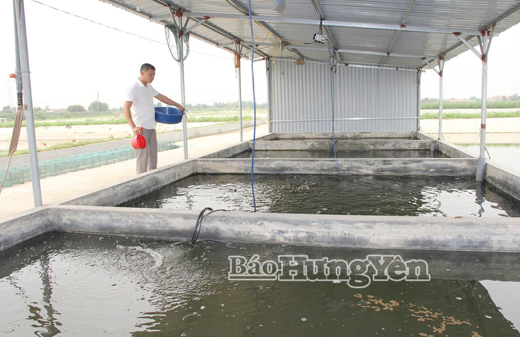 Xây dựng chuỗi sản xuất, tiêu thụ sản phẩm nông, lâm, thủy sản an toàn