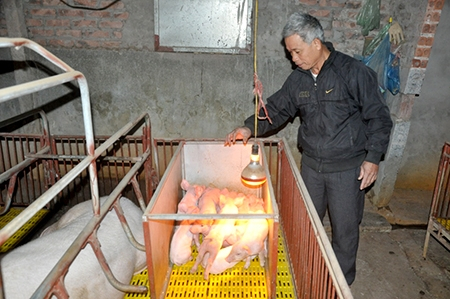Chủ động ứng phó với không khí lạnh tăng cường, rét và gió mạnh