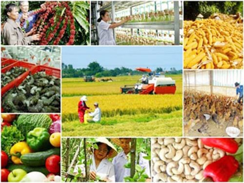 Thông tin doanh nghiệp: Công ty Cổ phần Nông nghiệp tối ưu