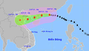 Chủ động ứng phó bảo vệ, chăm sóc cây trồng trước và sau mưa bão
