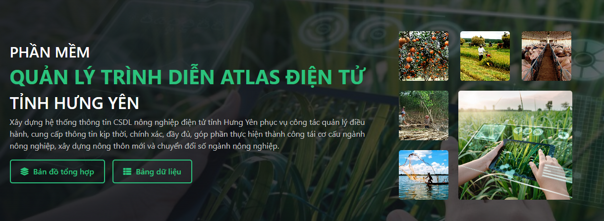 ALAST ĐIỆN TỬ