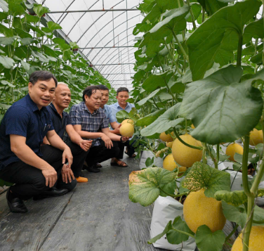 Đoàn công tác của Sở Nông nghiệp và Môi trường tỉnh Hưng Yên kiểm tra, đánh giá một số mô hình ứng dụng công nghệ cao lĩnh vực nông nghiệp tại các địa phương