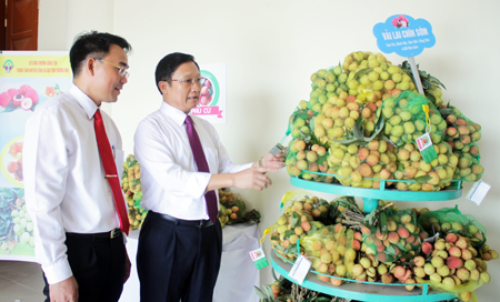 Thông tin đầu tư vào lĩnh vực nông nghiệp tỉnh Hưng Yên