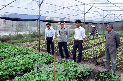 Về việc tham gia ý kiến vào dự thảo Kế hoạch thực hiện Quyết định số 461/QĐ-TTg của thủ tướng chính phủ về đề án phát triển 15.000 HTX, liên hiệp HTX nông nghiệp hoạt động có hiệu quả đến năm 2020