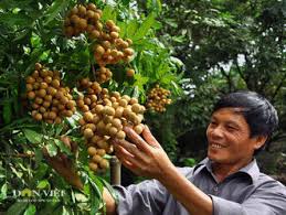 Kế hoạch phát triển Nông nghiệp và Phát triển nông thôn năm 2021