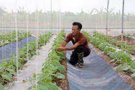 Kế hoạch sản xuất nông nghiệp và phát triển nông thôn tỉnh Hưng Yên năm 2022