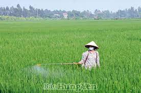 Tình hình sản xuất nông nghiệp và xây dựng nông thôn mới tỉnh Hưng Yên tháng 04 năm 2023