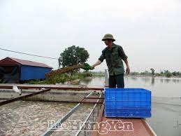 Về việc cung cấp thông tin sản phẩm trước khi lưu thông trên thị trường và báo cáo hoạt động sản xuất, nhập khẩu