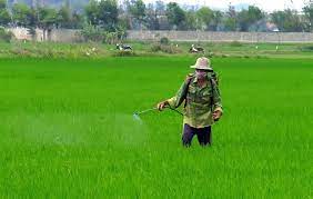 Tình hình sản xuất nông nghiệp tháng 8, nhiệm vụ trọng tâm trong tháng 9 năm 2023