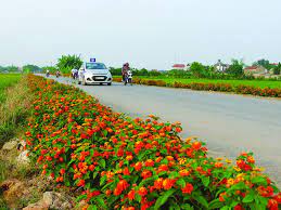 Về việc giới thiệu mô hình hay và đề xuất sáng kiến triển khai hiệu quả Chương trình MTQG xây dựng nông thôn mới
