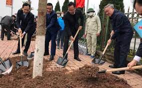 Về việc phối hợp triển khai công tác trồng cây nhân dân năm 2023