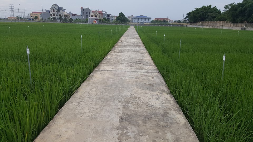 Về việc chỉ đạo các biện pháp khắc phục hậu quả sau mưa bão
