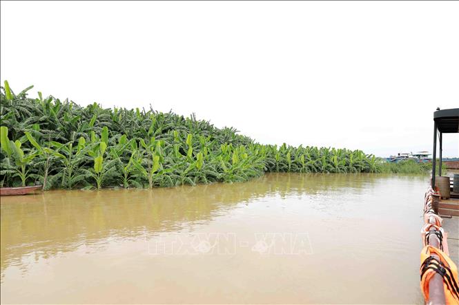 Về việc phòng, chống ngập úng và bảo đảm an toàn công trình thủy lợi do mưa lớn ảnh hưởng của rãnh áp thấp gây ra